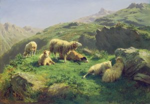 Schapen grazen in de Pyreneeën